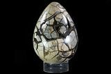 Huge, Septarian Dragon Egg Geode - Removable Section #78536-1